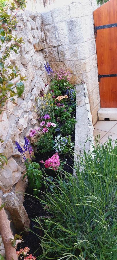 Apartments Viva Korčula Eksteriør bilde